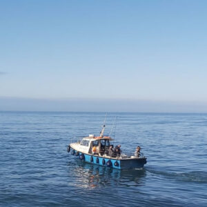 Taste of Fishing Wicklow - up to 8 people